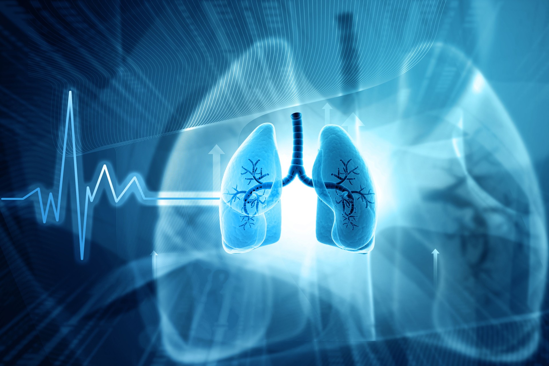 Human lungs on scientific background